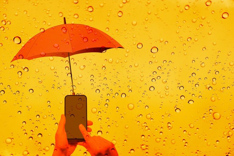 celular caiu na água